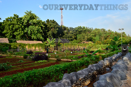 Checking Out : EcoPark Ancol, Jakarta | Our Everyday Things | One of